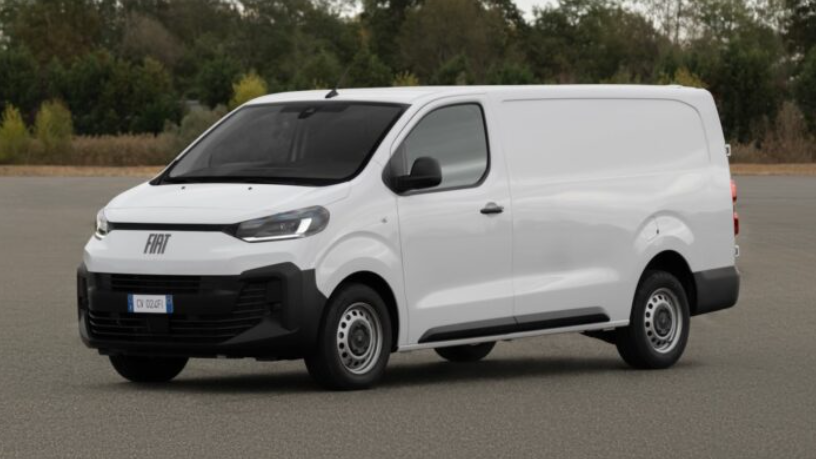 scudo